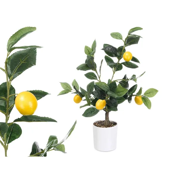 Koristekasvi Ibergarden Vaahto Polyetyleeni Melamiini Sitruunapuu 40 x 58 x 38 cm (6 osaa)