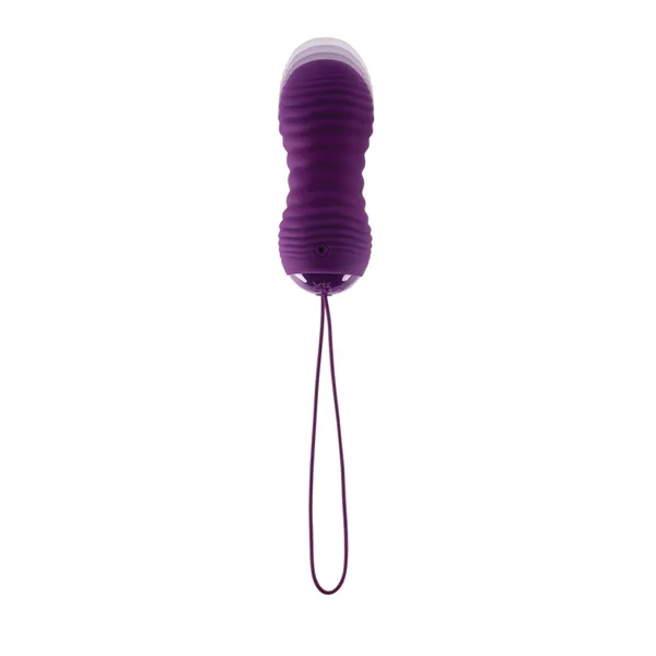 Bullet Vibrator Evolved Purple