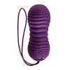 Bullet Vibrator Evolved Purple