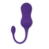 Bullet Vibrator Playboy Purple