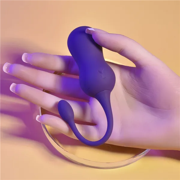 Bullet Vibrator Playboy Purple