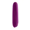 Bullet Vibrator Playboy Purple