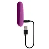 Bullet Vibrator Playboy Purple