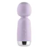 Massager Playboy Purple