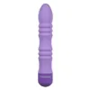 Bullet Vibrator Evolved Purple