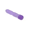 Bullet Vibrator Evolved Purple