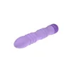 Bullet Vibrator Evolved Purple