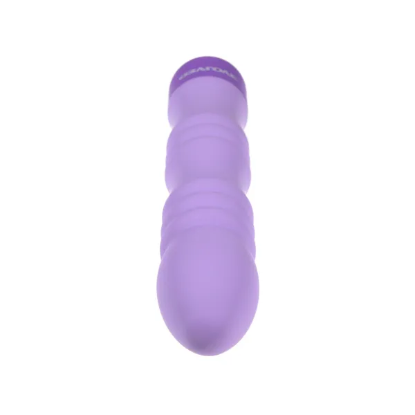 Bullet Vibrator Evolved Purple