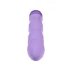 Bullet Vibrator Evolved Purple