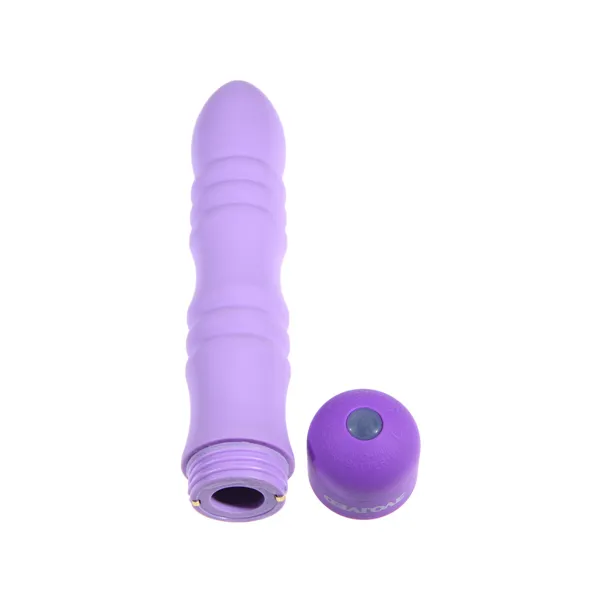 Bullet Vibrator Evolved Purple