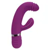 G-Spot Vibrator Playboy Purple