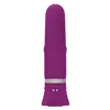 G-Spot Vibrator Playboy Purple