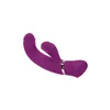 G-Spot Vibrator Playboy Purple