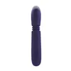 Bullet Vibrator Evolved Purple