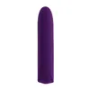 Bullet Vibrator Playboy Purple