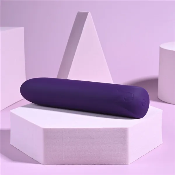 Bullet Vibrator Playboy Purple