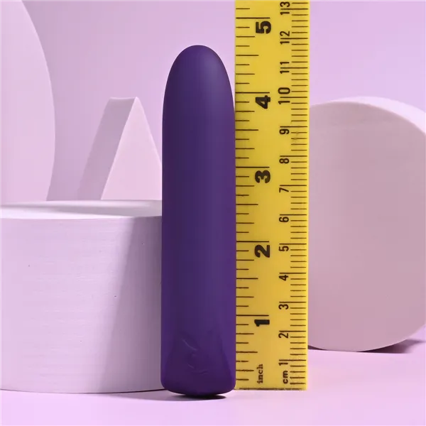 Bullet Vibrator Playboy Purple