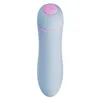 Mini-Vibrator FemmeFun Ffix Bullet Blue