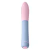 Vibrator FemmeFunn Ffix Blue