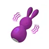 Mini-Vibrator FemmeFun Bunny Purple