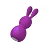 Mini-Vibrator FemmeFun Bunny Purple