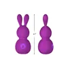 Mini-Vibrator FemmeFun Bunny Purple