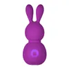 Mini-Vibrator FemmeFun Bunny Purple