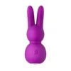 Mini-Vibrator FemmeFun Stubby 2 Purple