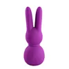 Mini-Vibrator FemmeFun Stubby 2 Purple