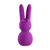 Mini-Vibrator FemmeFun Stubby 2 Purple