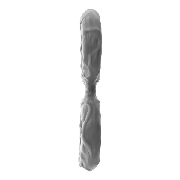 Cock Ring Shaft Grey