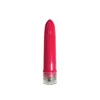 Bullet Vibrator NS Novelties Pleasure Package Red