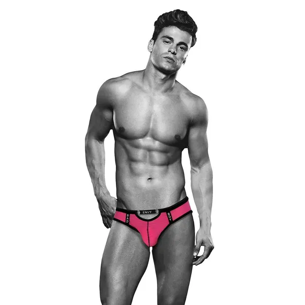 Classic underpants Envy Pink L/XL