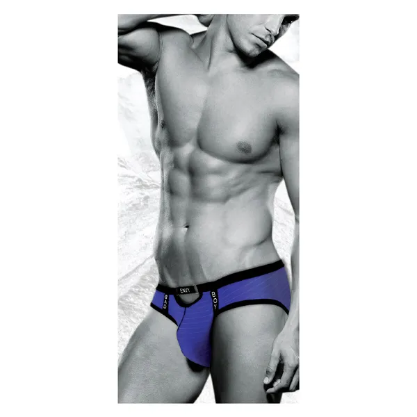 Classic underpants Envy Purple S/M