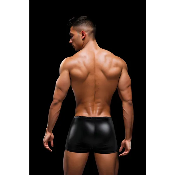 Men's Boxer Shorts Envy Black L/XL