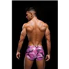 Classic underpants Envy Pink S/M