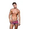 Classic underpants Envy Multicolour S/M