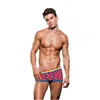 Classic underpants Envy Multicolour S/M