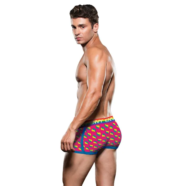 Classic underpants Envy Multicolour S/M