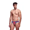 Classic underpants Envy Multicolour S/M