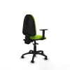 Office Chair Piqueras y Crespo B1D01RP Pistachio