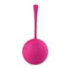 Orgasm Balls Dream Toys Essentials Silicone ABS