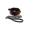 Collar with lead Dream Toys Blaze