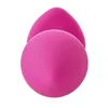 Anal plug Dream Toys Flirts Pink 3 Pieces