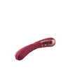 G-Spot Vibrator Dream Toys Dinky Red