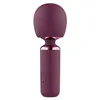 Erotic Toy Cleanser Dream Toys Glam Purple