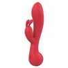 G-Spot Vibrator Dream Toys Amour Red