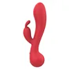 G-Spot Vibrator Dream Toys Amour Red