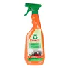 Surface cleaner Kitchen Frosch Localization_B07GB81L71 (750 ml) 750 ml