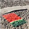 Towel Icehome Watermelon 100% cotton 90 x 170 cm